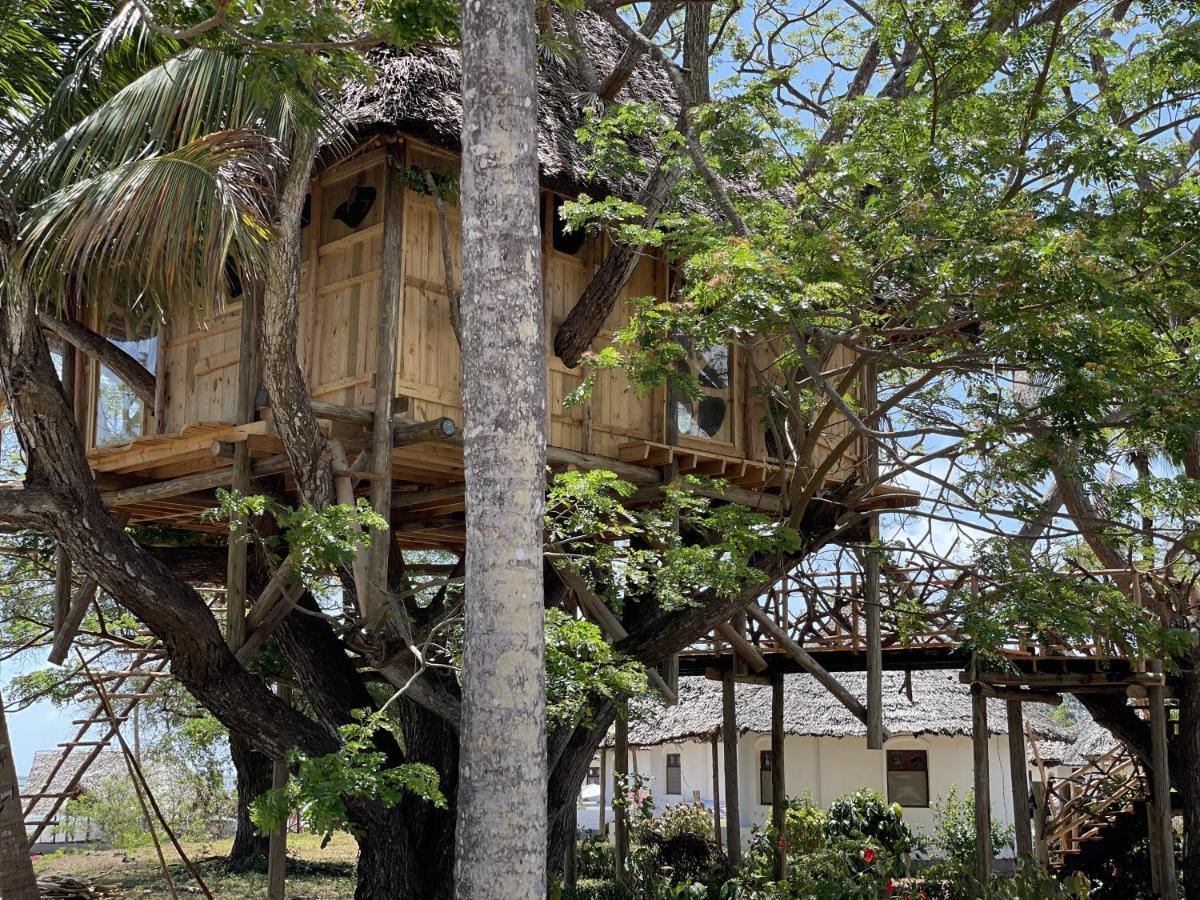 Antonio Beach Tree House Hotel & Spa Uroa Exterior photo