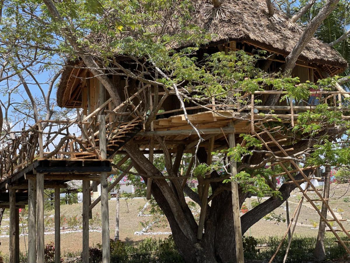 Antonio Beach Tree House Hotel & Spa Uroa Exterior photo